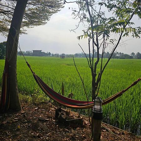 Tung Tong Homestay & Camping Маэ-Рим Экстерьер фото