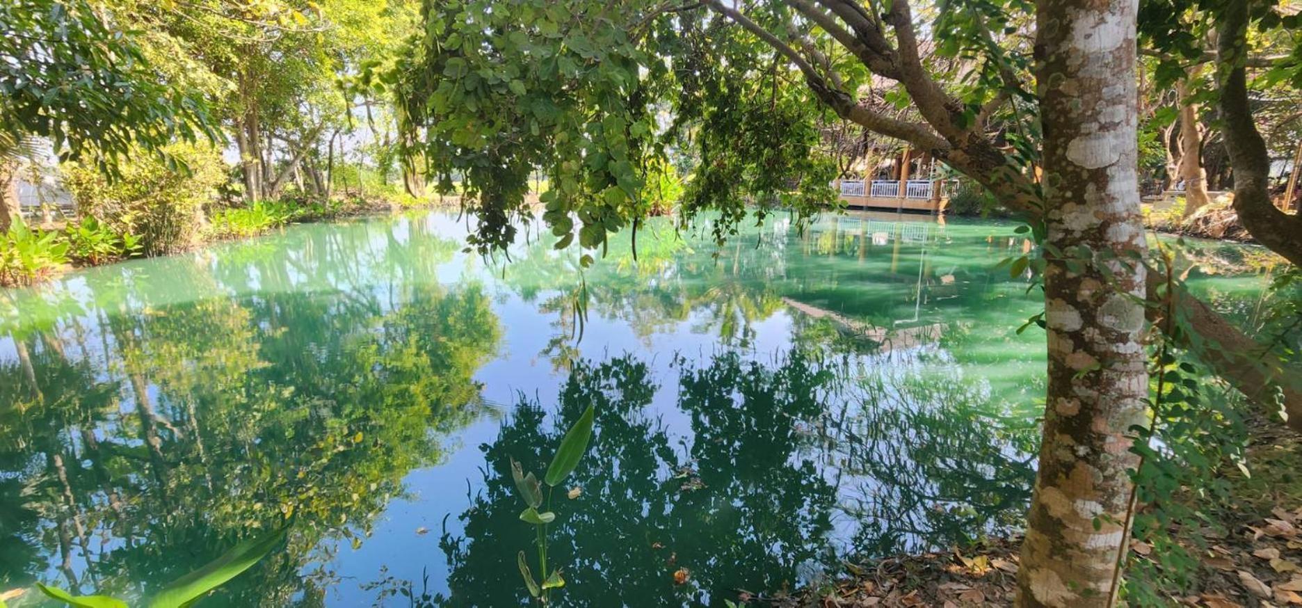 Tung Tong Homestay & Camping Маэ-Рим Экстерьер фото