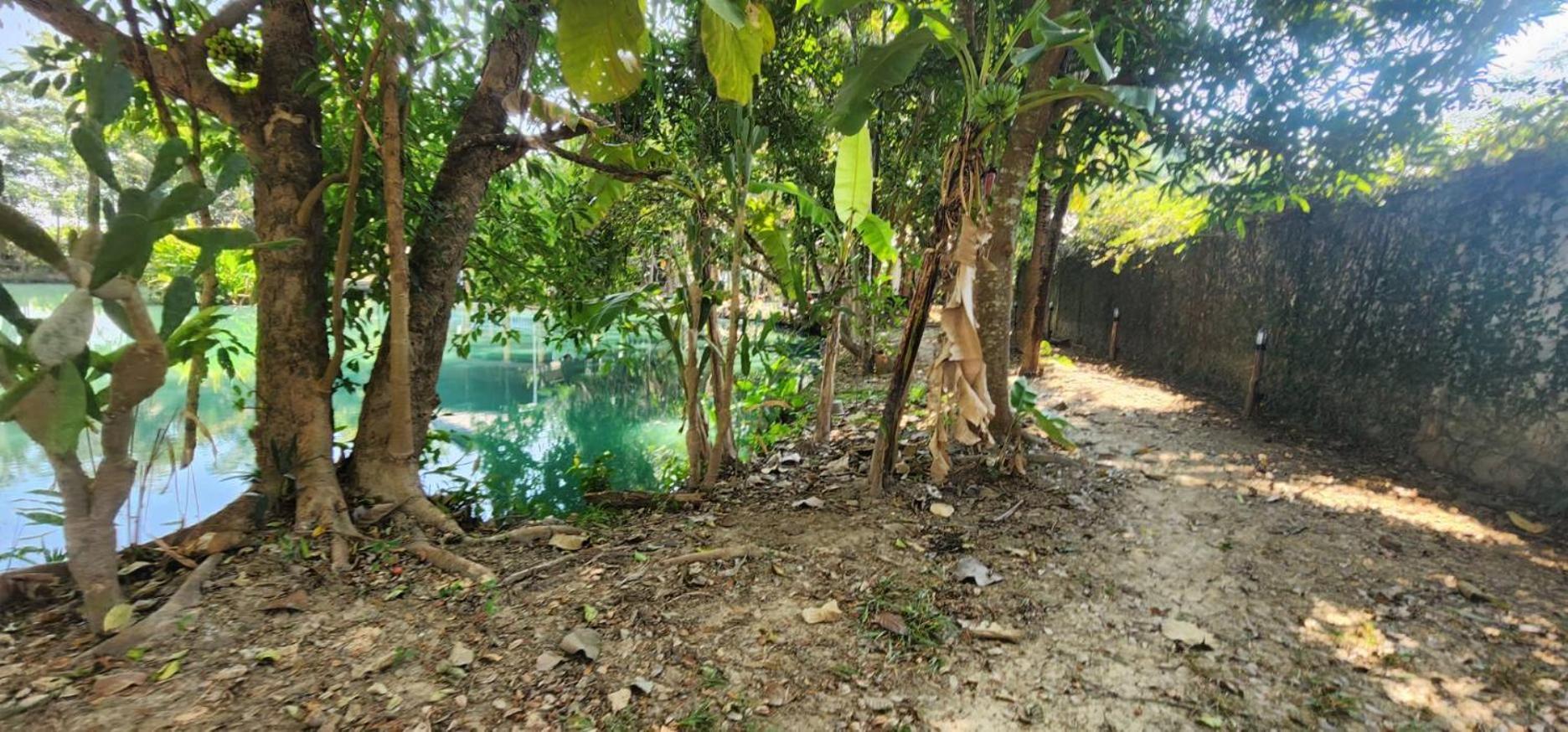 Tung Tong Homestay & Camping Маэ-Рим Экстерьер фото
