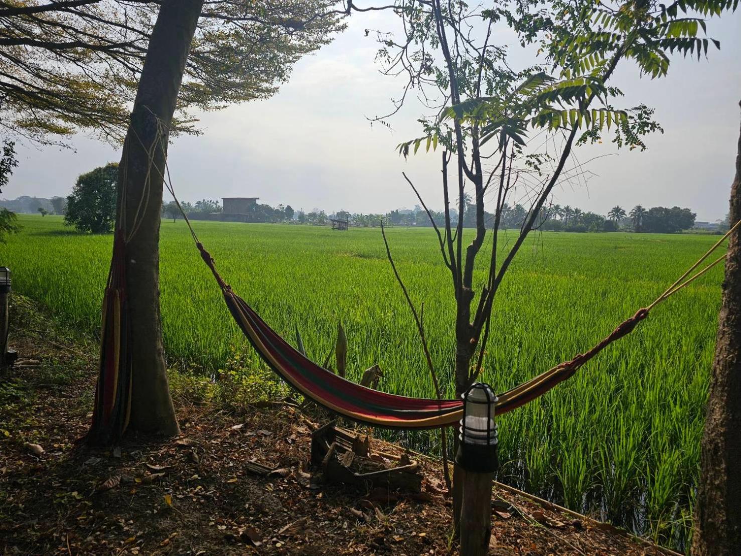 Tung Tong Homestay & Camping Маэ-Рим Экстерьер фото