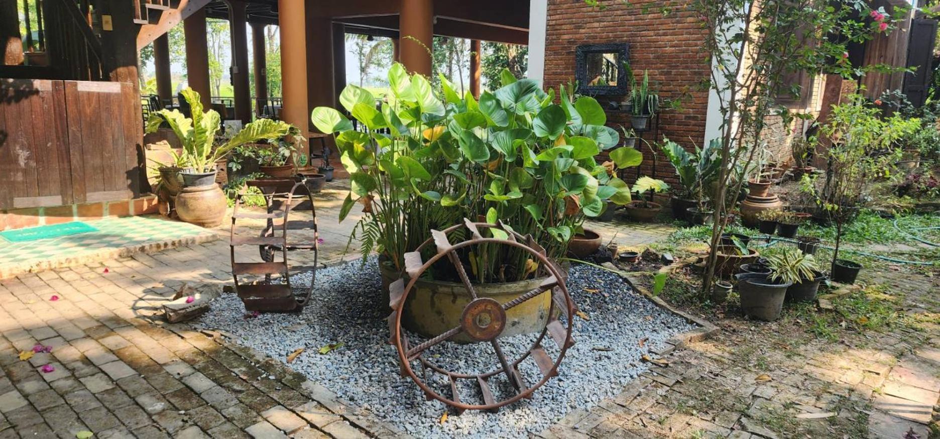 Tung Tong Homestay & Camping Маэ-Рим Экстерьер фото