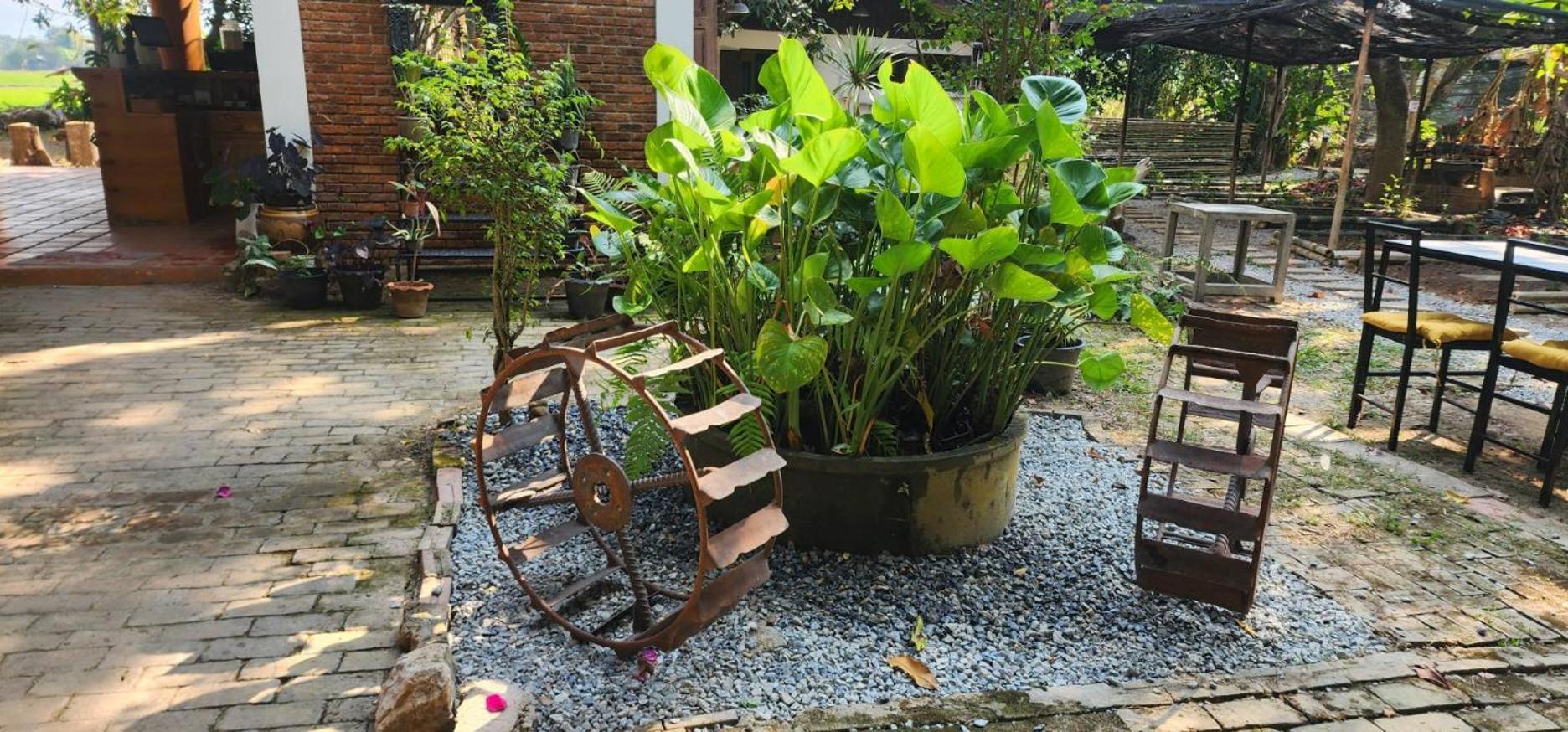 Tung Tong Homestay & Camping Маэ-Рим Экстерьер фото