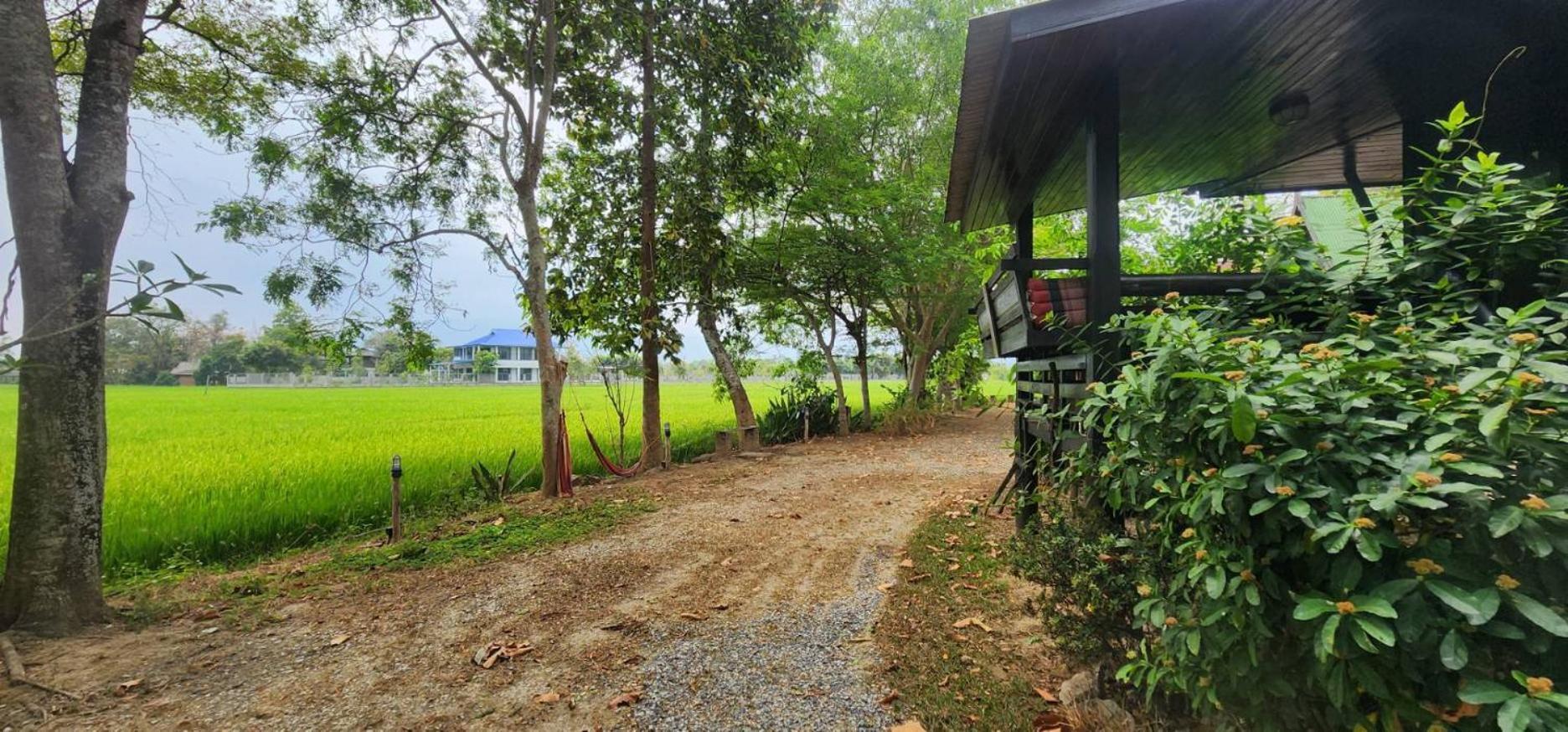 Tung Tong Homestay & Camping Маэ-Рим Экстерьер фото