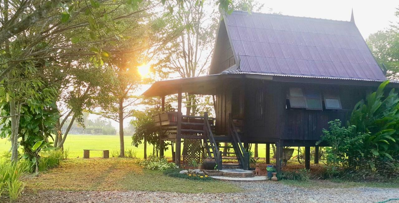 Tung Tong Homestay & Camping Маэ-Рим Экстерьер фото